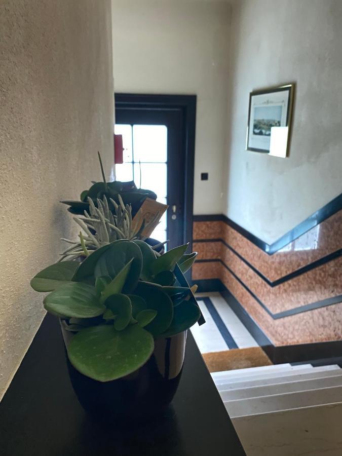 #Macleod2 Appartement Oostende Buitenkant foto